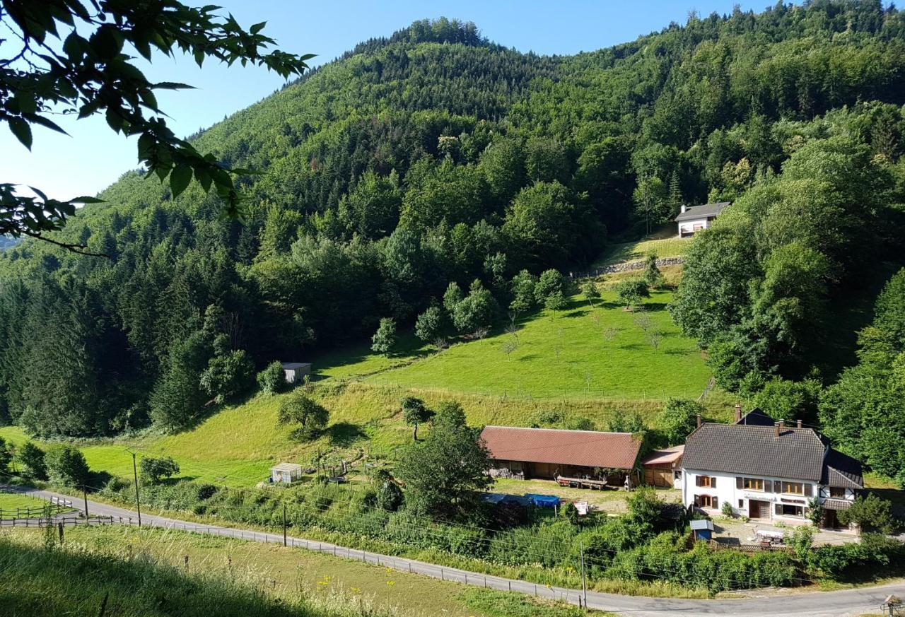 Gite Le Creux Chene Rombach-le-Franc Zewnętrze zdjęcie